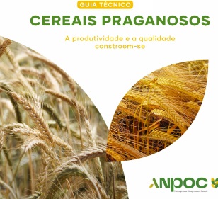 Manual ANPOC Cereais Praganosos – A Produtividade e a Qualidade Constroem-se
